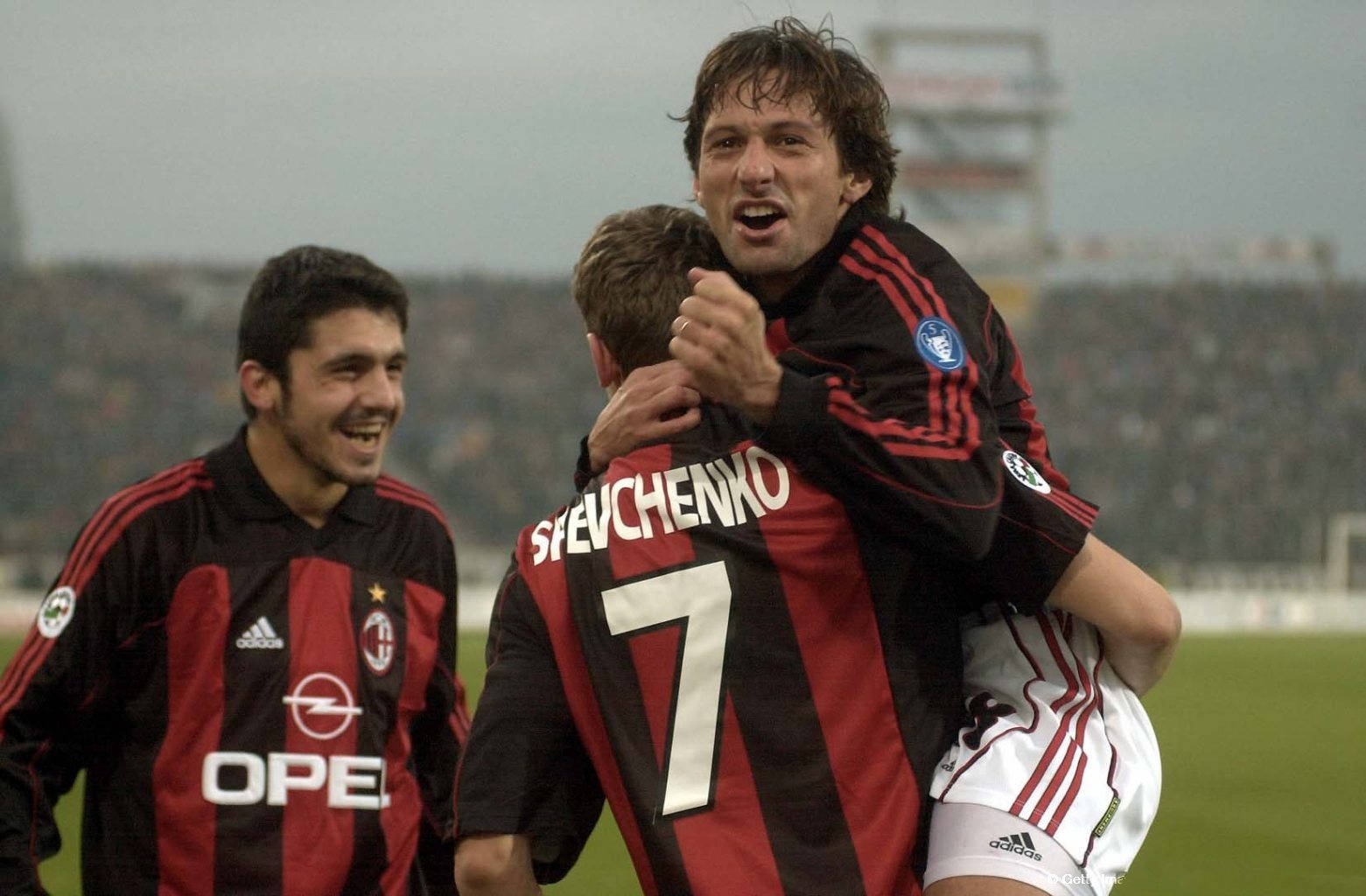 在激烈的竞 在激烈的竞